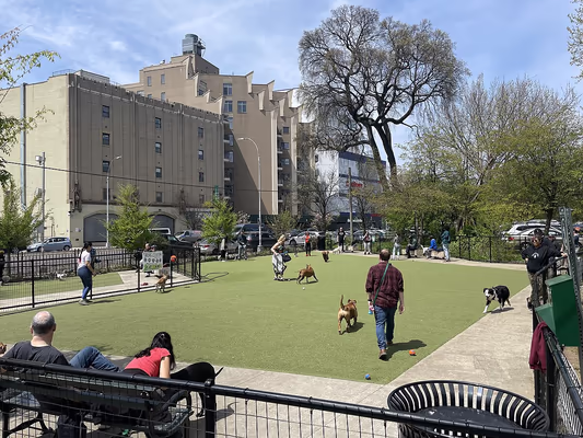 Kensington Dog Run